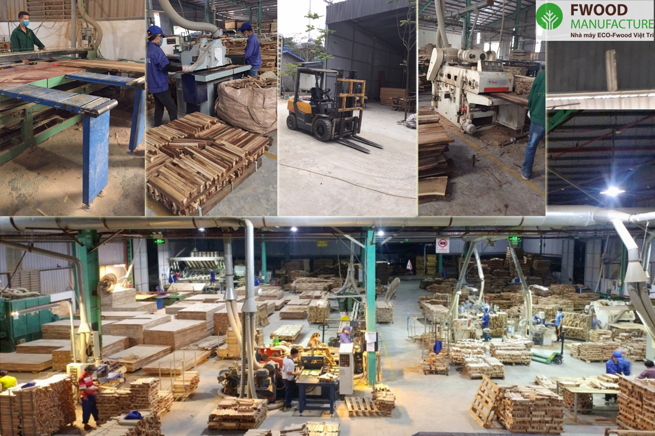 ECOFWOOD-08