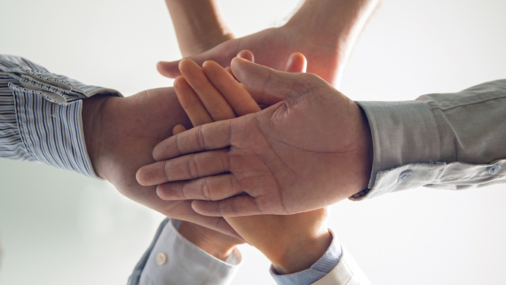 Đội ngũ nhân sự