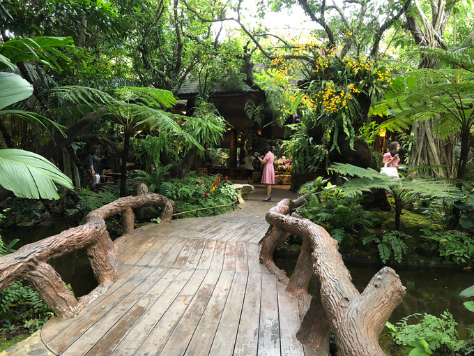 nha-hang-nhu-khu-rung-1