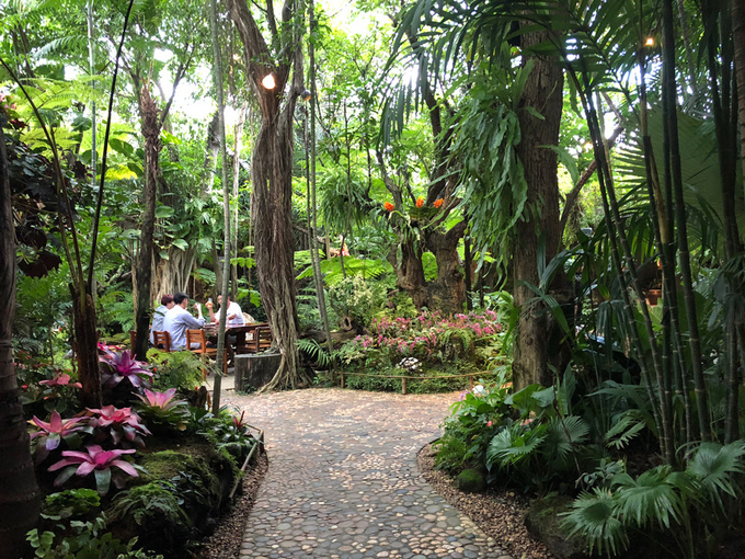 nha-hang-nhu-khu-rung-2