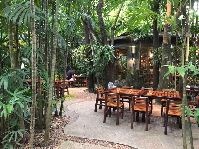 nha-hang-nhu-khu-rung-5