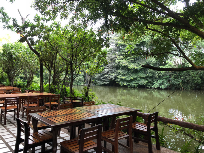 nha-hang-nhu-khu-rung-7