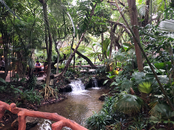 nha-hang-nhu-khu-rung-8