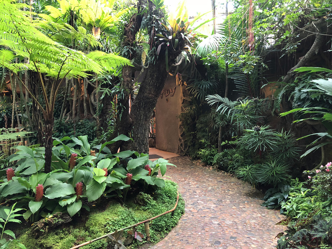 nha-hang-nhu-khu-rung-11