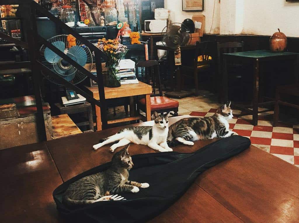 ca-phe-vintage-Sai-Gon-26