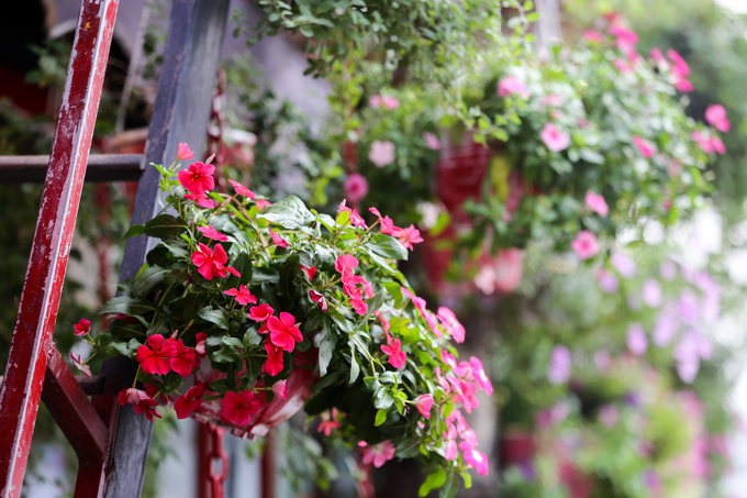 quan-cafe-ngap-tran-sac-hoa-kieu-phap-8